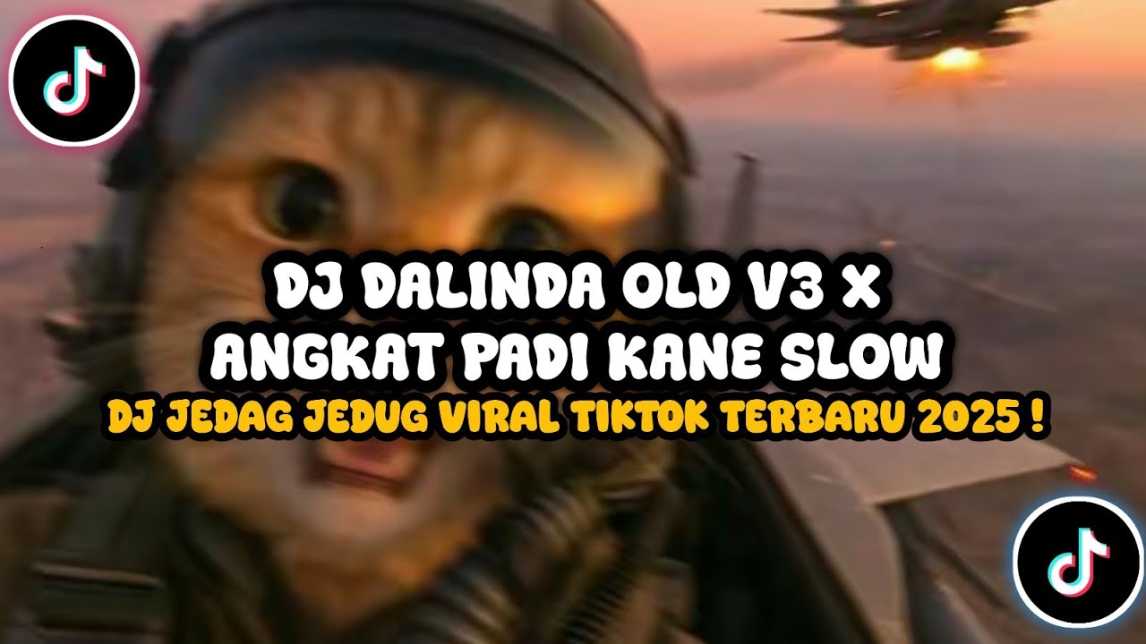 DJ DALINDA OLD V3 X ANGKAT PADI KANE SLOW || DJ JEDAG JEDUG VIRAL TIKTOK TERBARU 2025 !