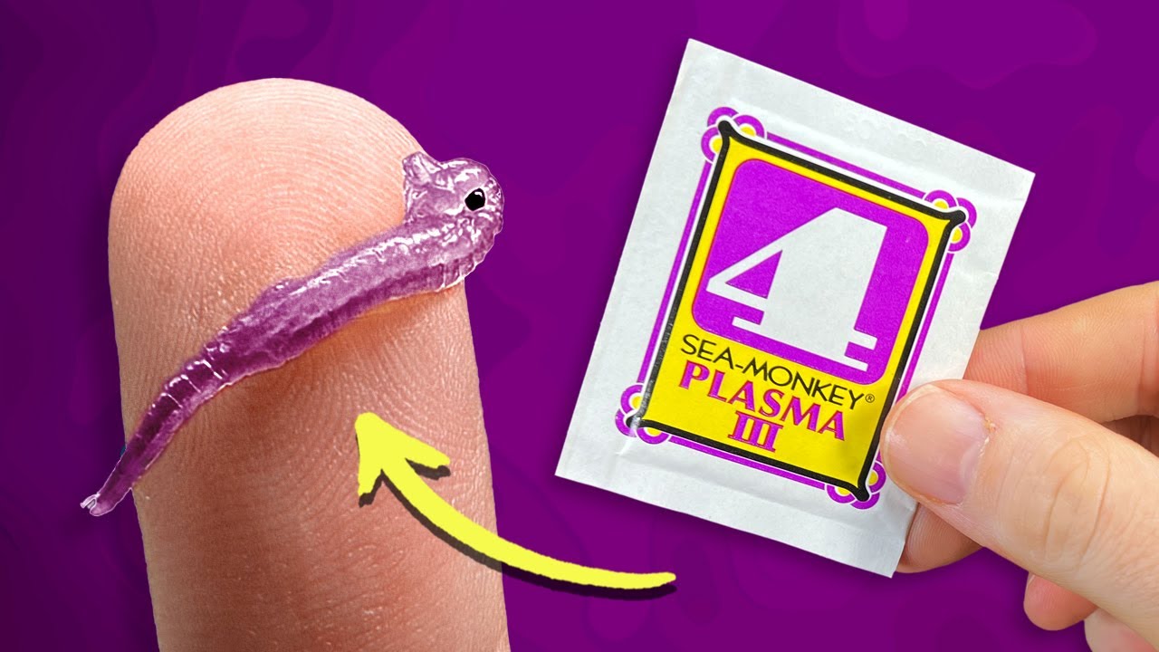 Sea-Monkeys Plasma III | Packet Experiment Series: Video 4