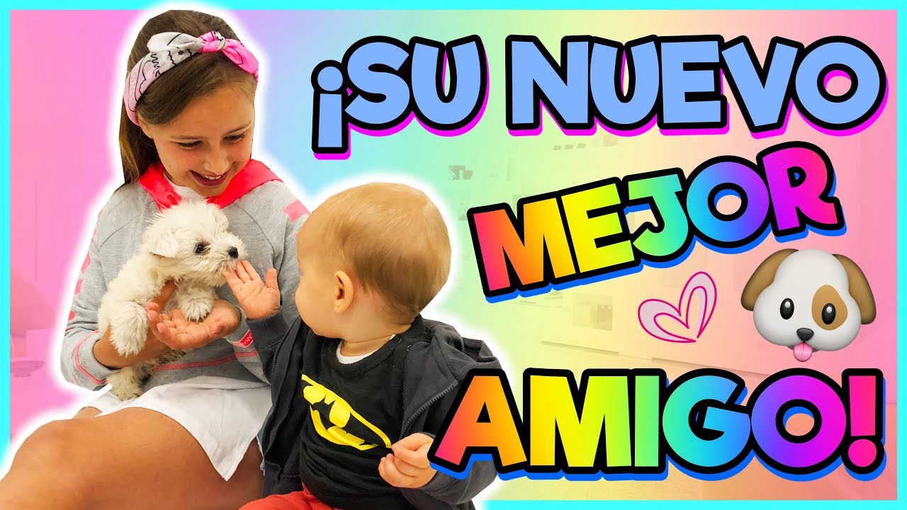 🐶 AMPLIAMOS LA FAMILIA?!😍| Familia Carameluchi 👨‍👩‍👧‍👦