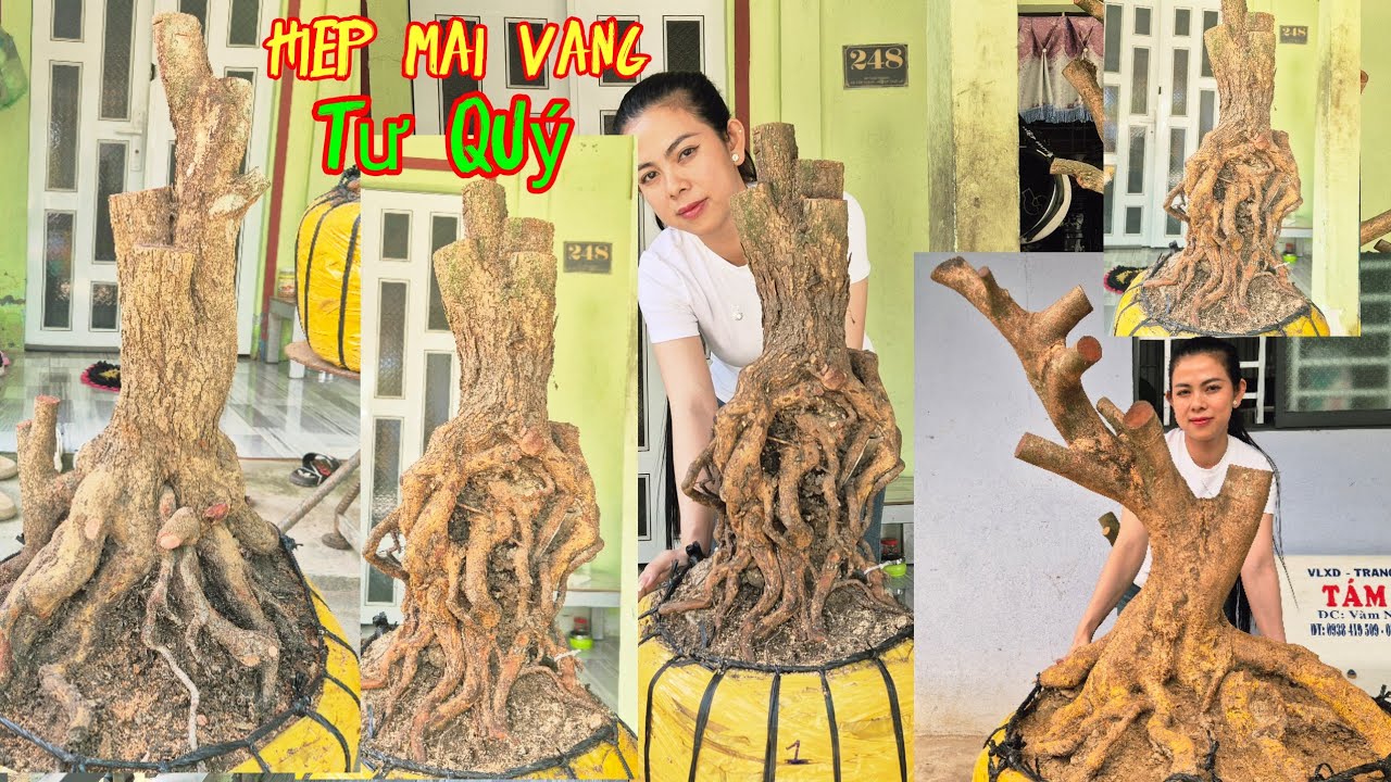 #xã#tưquý#mv24/1 lh0939860078