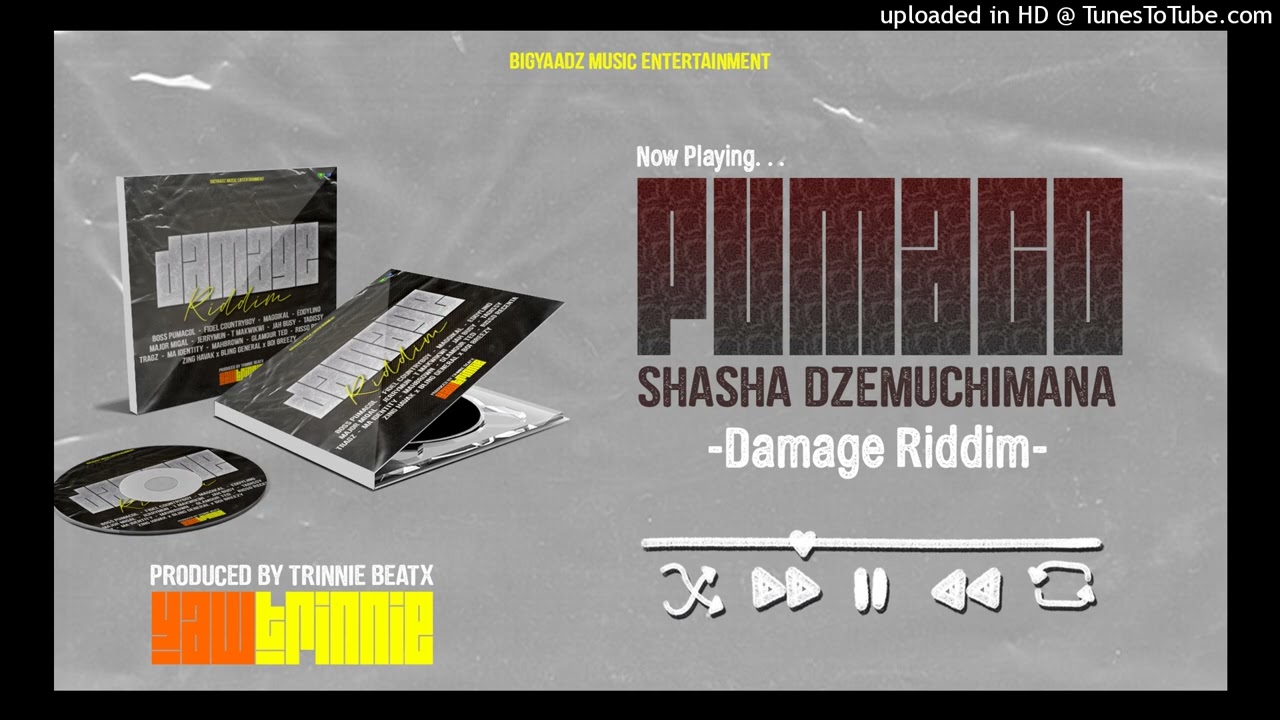 02. Boss Pumacol - Shasha dzemuchimana (DAMAGE RIDDIM FEB. 2026)