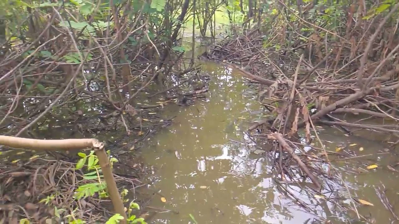 Coloquei a malhadeiras em outro lugar acompanhar ai 