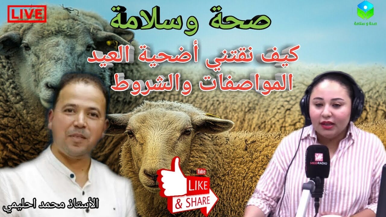 🔴 نصائح لشراء أضحية العيد 🐐 المواصفات والشروط الصحية مع الأستاذ محمد أحليمي اخصائي تغذية صحية
