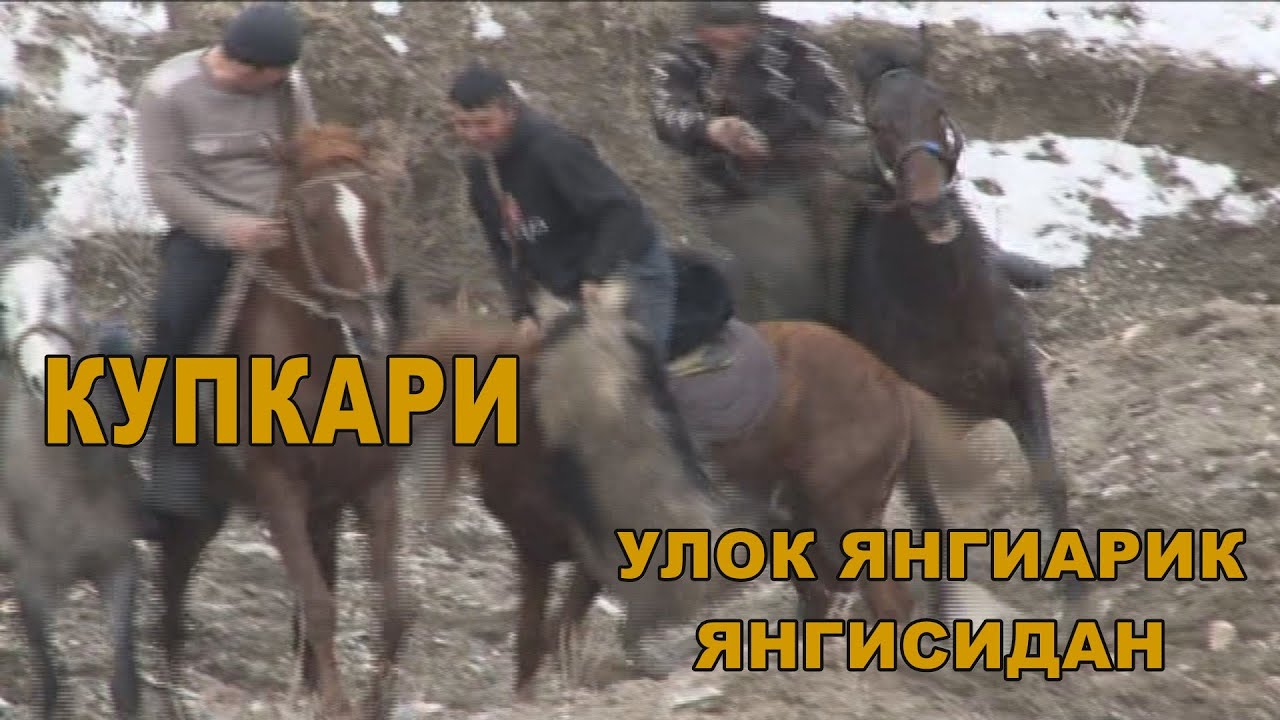 ДАХШАТ!!! УЛОК ЯНГИАРИК ЯНГИСИДАН