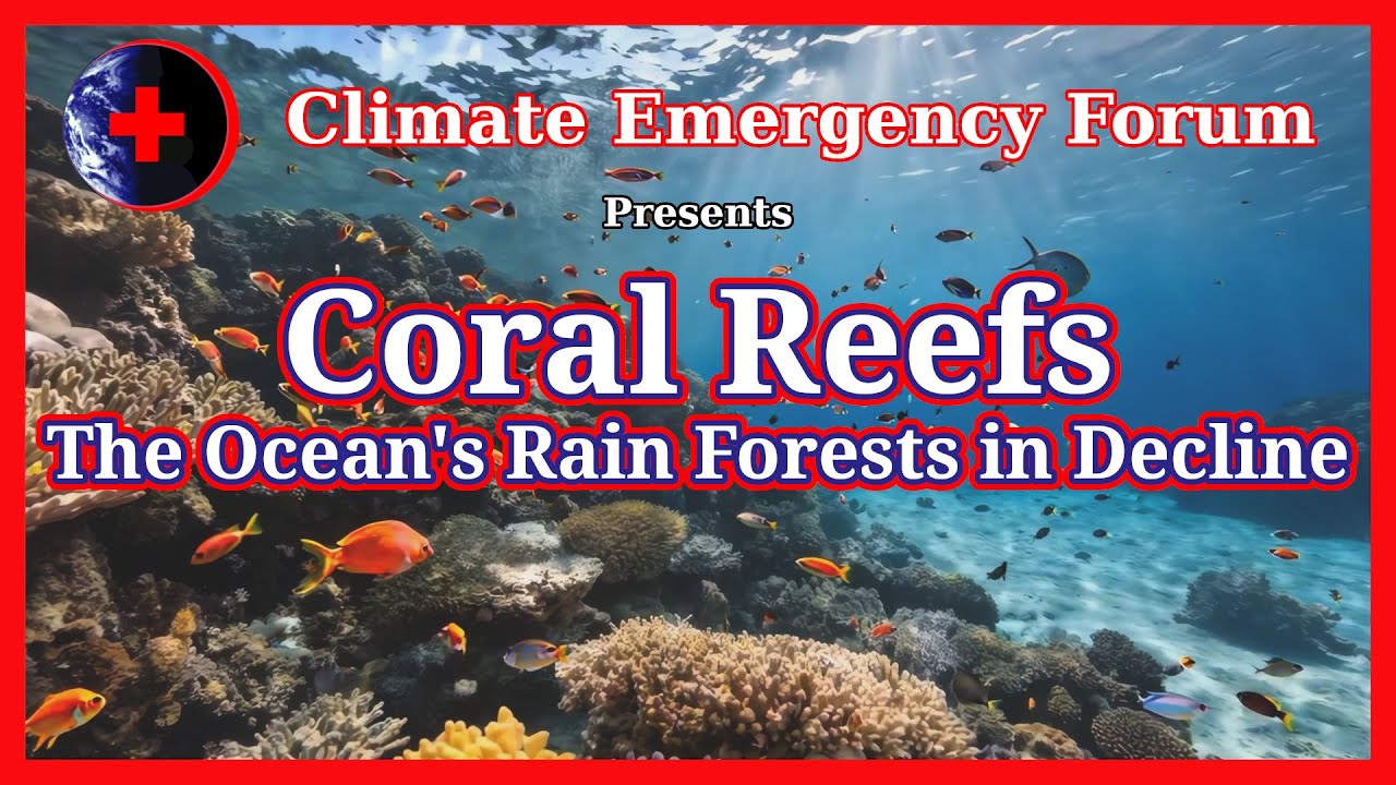 Coral Reefs - The Ocean's Rain Forests in Decline