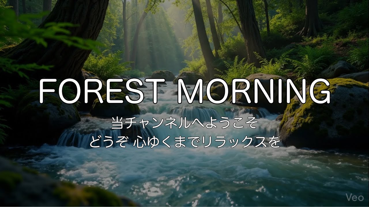 🍃【1時間耐久】脳の疲れを洗う、森のせせらぎとピアノ。自律神経を整える森林浴BGM | Forest Nature Sounds & Relaxing Piano