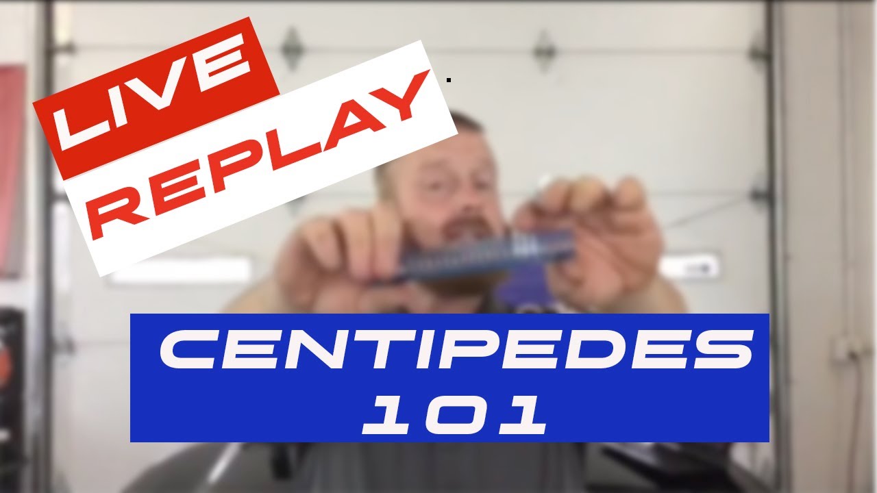 KECO Centipedes 101