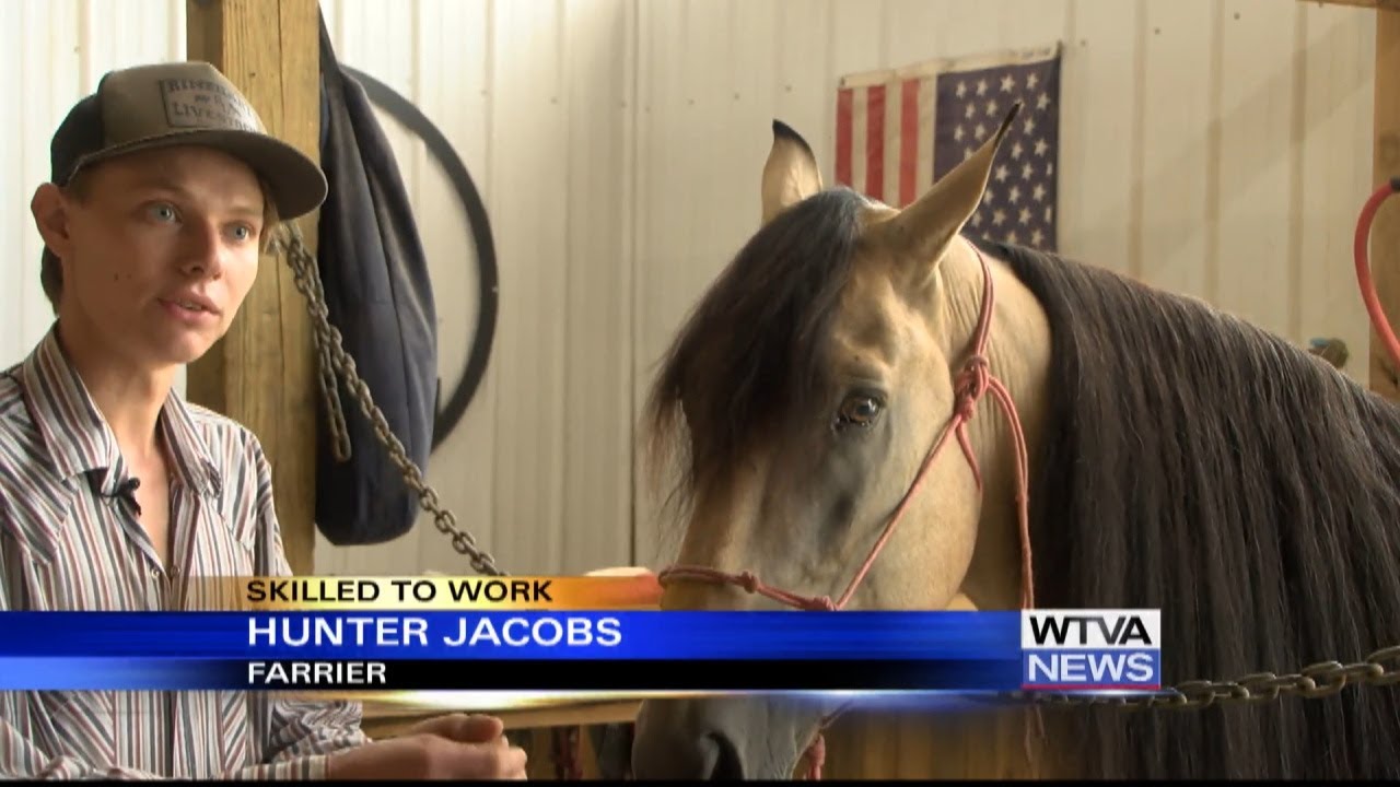 Skilled to Work: Day in the life of a farrier