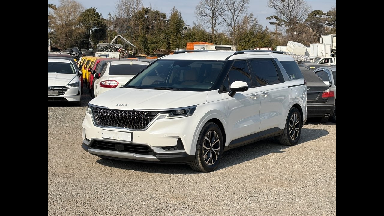 2023 Kia Carnival 4th Gen 9PS 2.2 Diesel PS195839