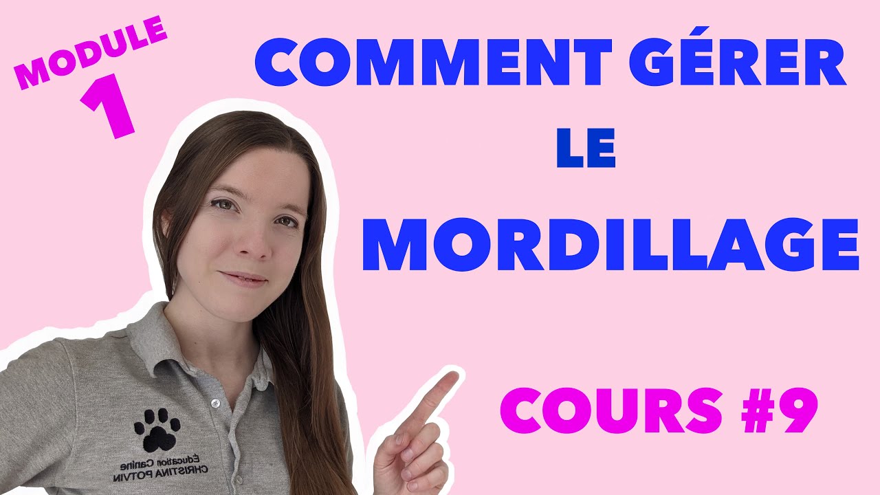 Module 1: 9- G&eacute;rer le mordillage | EDUCATION CANINE GRATUITE AVEC CHRISTINA POTVIN