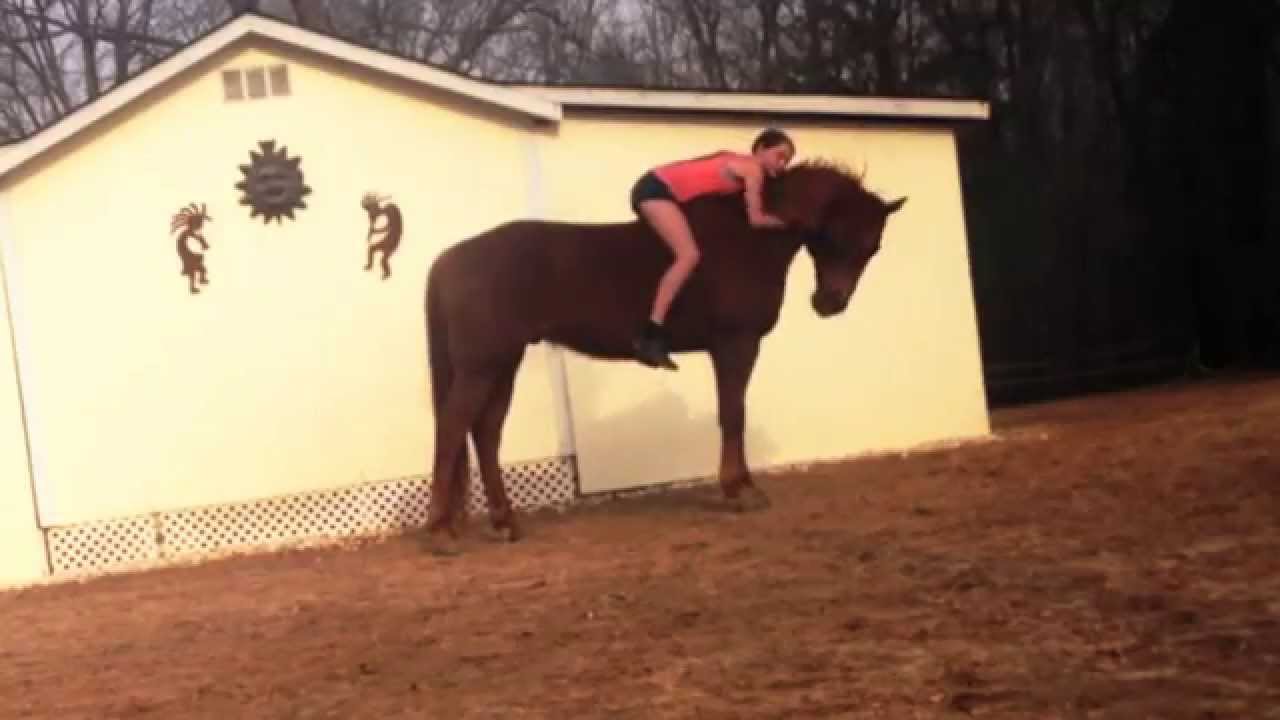 Tackless riding