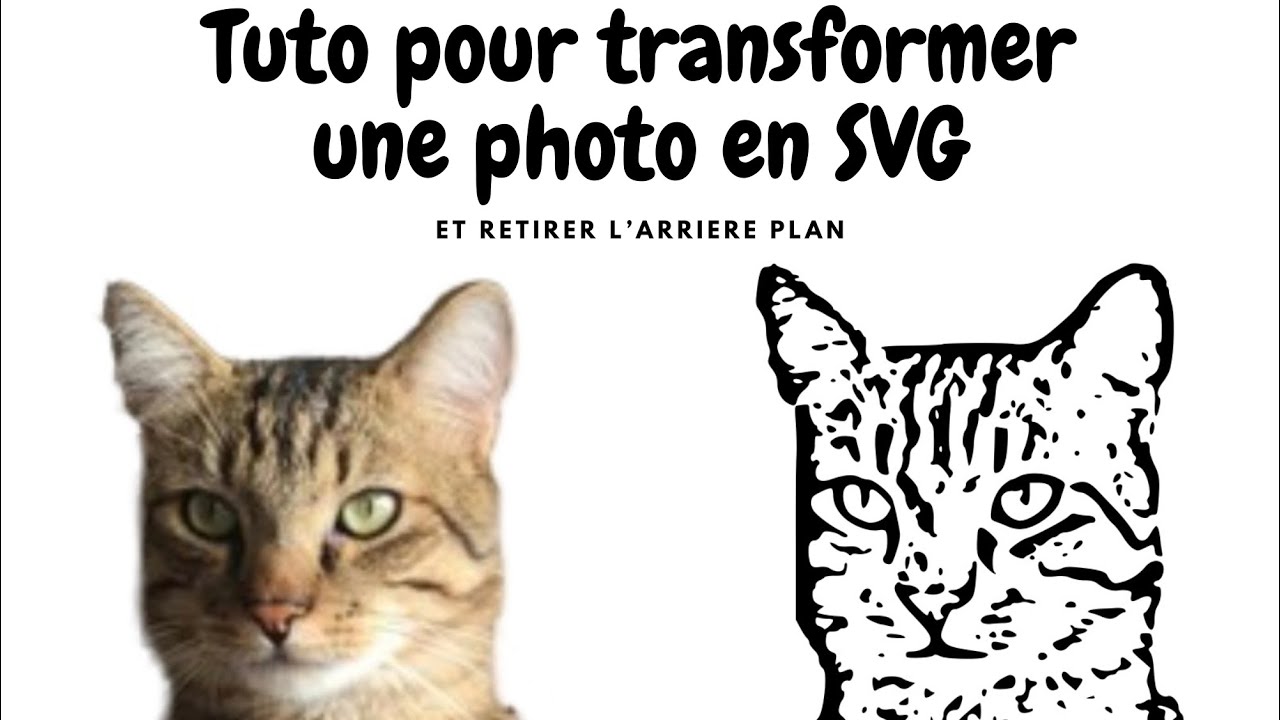 Tuto pour effacer l'arrière plan d'une photo et convertir en SVG sur le Cricut Design Space