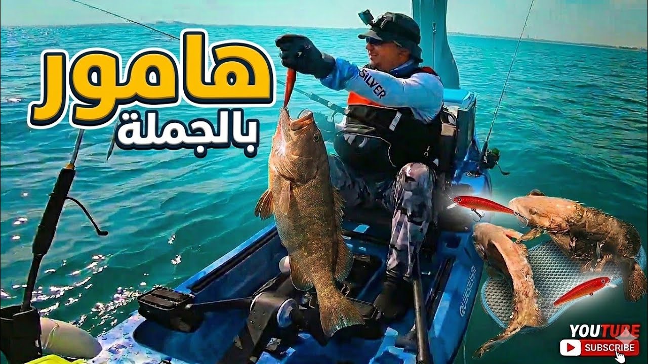 فيديو (48) هوامير بالجملة صيد بالكاياك Grouper fishing with Kayak