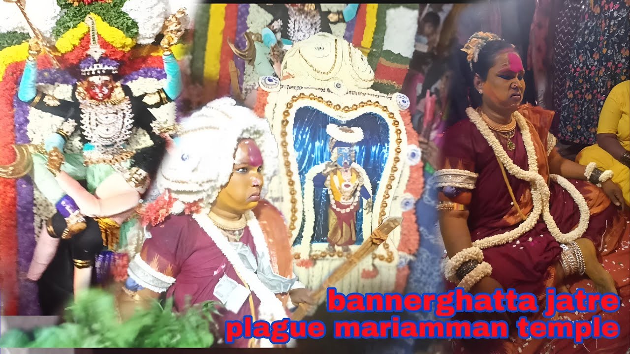 bannerghatta jatre plague mariamman temple bangalore 2024|#rajinideepak #tamte_beats #bannerghatta ✨