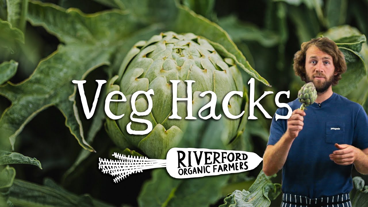 Globe Artichokes | VEG HACKS | Recipe