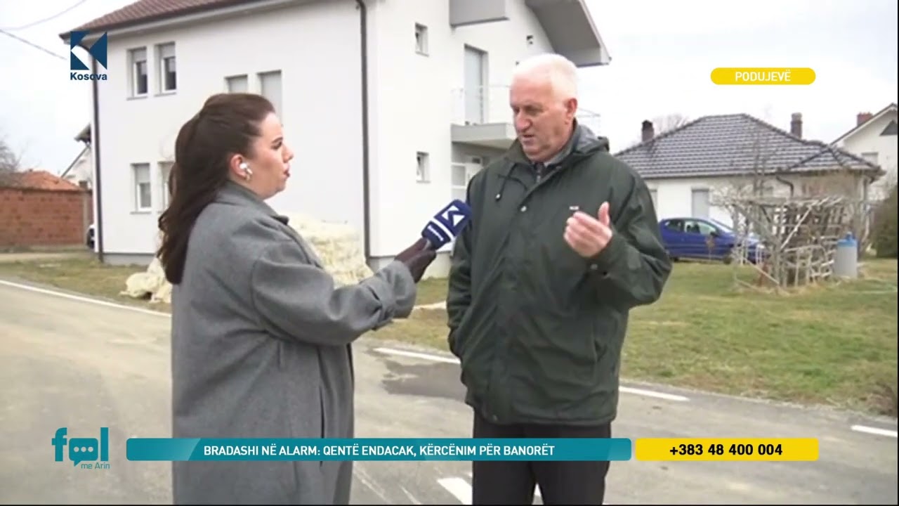 Bradashi në Alarm: Qentë endacakë, kërcënim për banorët