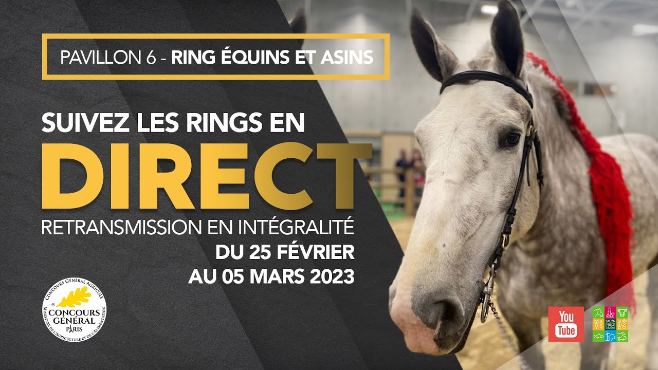 Ring Équins et Asins 25/02/2023