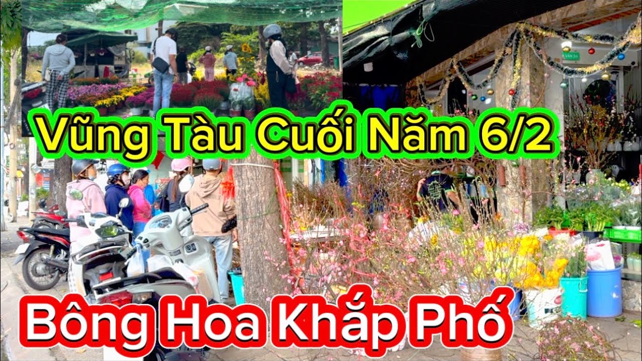 1182 .Vũng Tàu Cuối Năm 6/2 Bông Hoa Bán Khắp Phố 