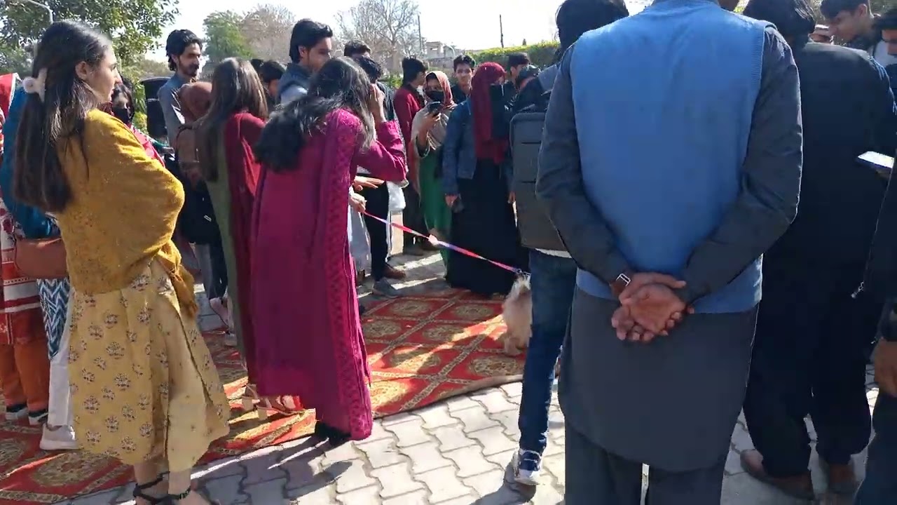 Petsx🐕 Show In University of Peshawar Putta Hall Too Many 😊 Enjoy And Bohat Crowd Taa 😱😱 Cute Pet's 