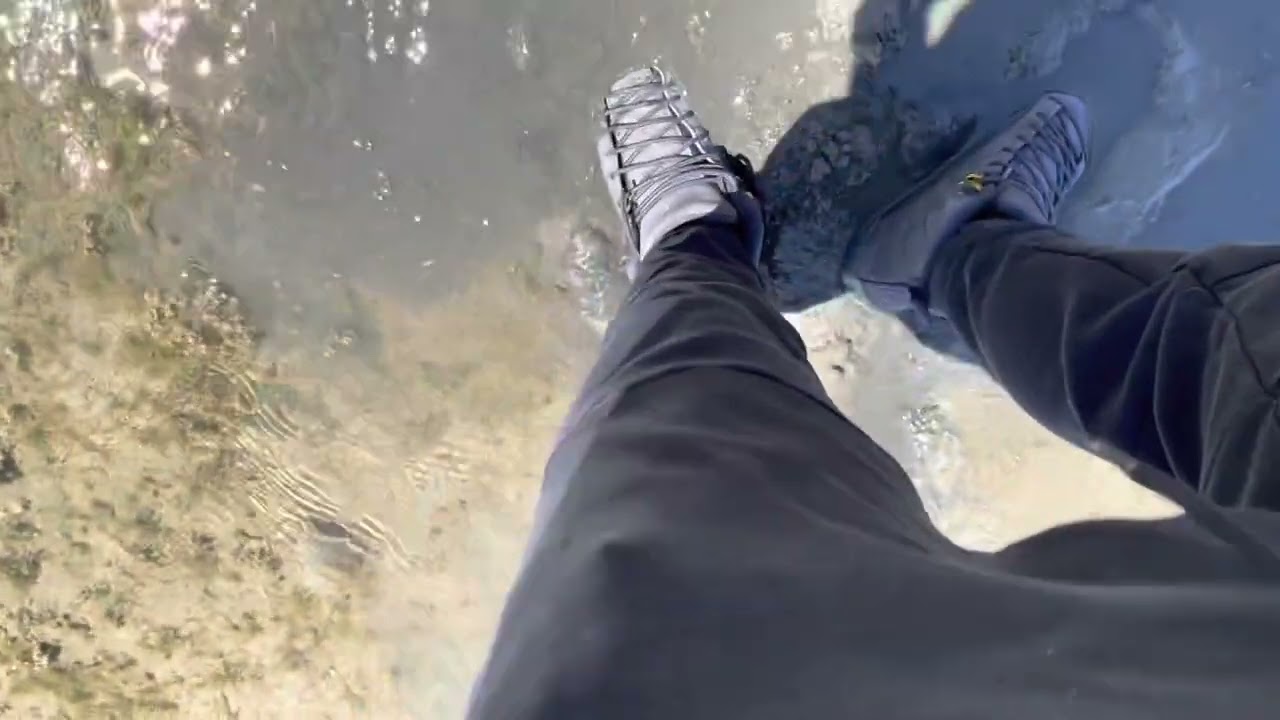 Jordan 12 in Wet Mud