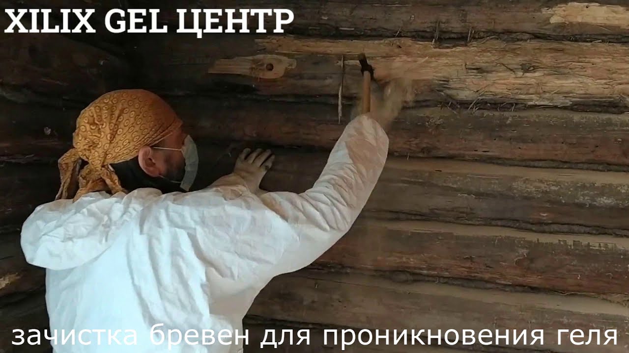 Уничтожение короеда. Препаратом Xilix gel. С гарантией 10 лет.