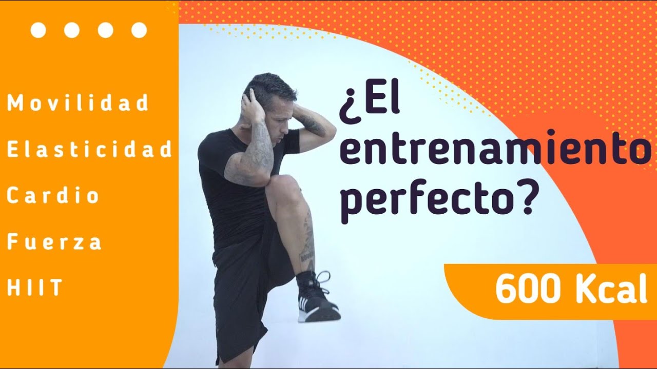 El entrenamiento perfecto para adelgazar en casa - Movilidad, cardio, fuerza, HIIT y elasticidad.