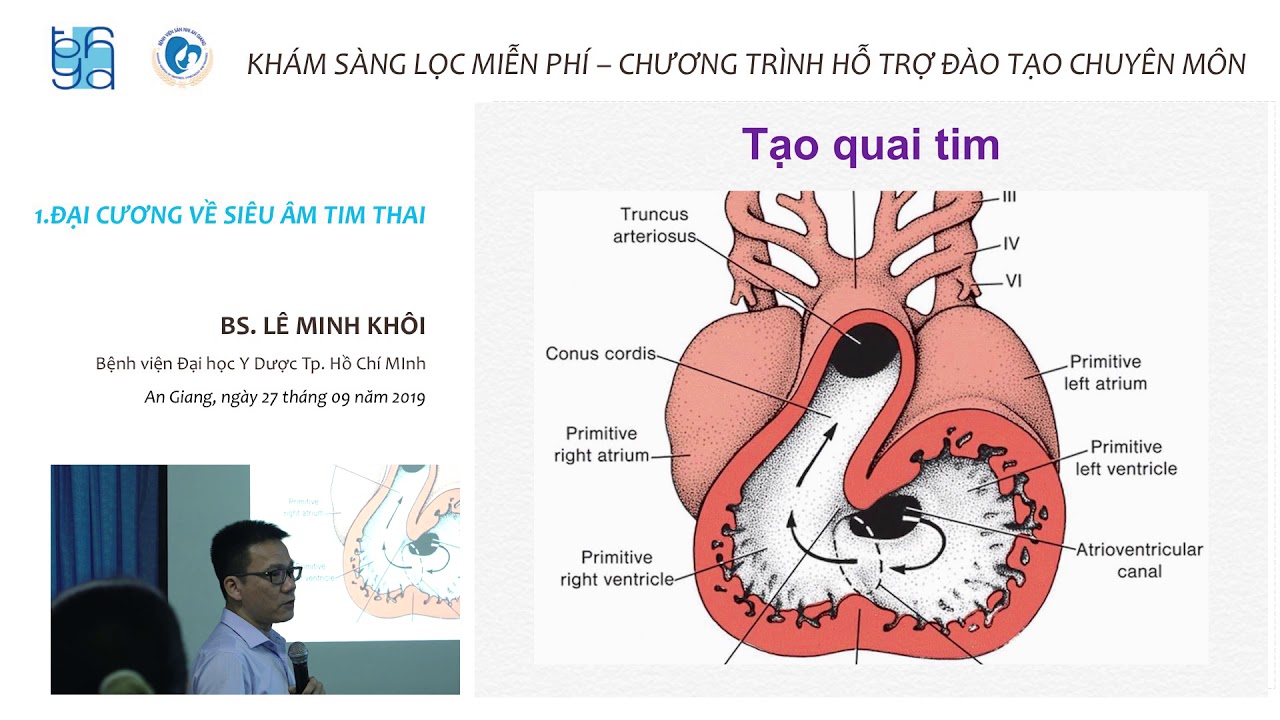 ĐẠI CƯƠNG VỀ SIÊU ÂM TIM THAI