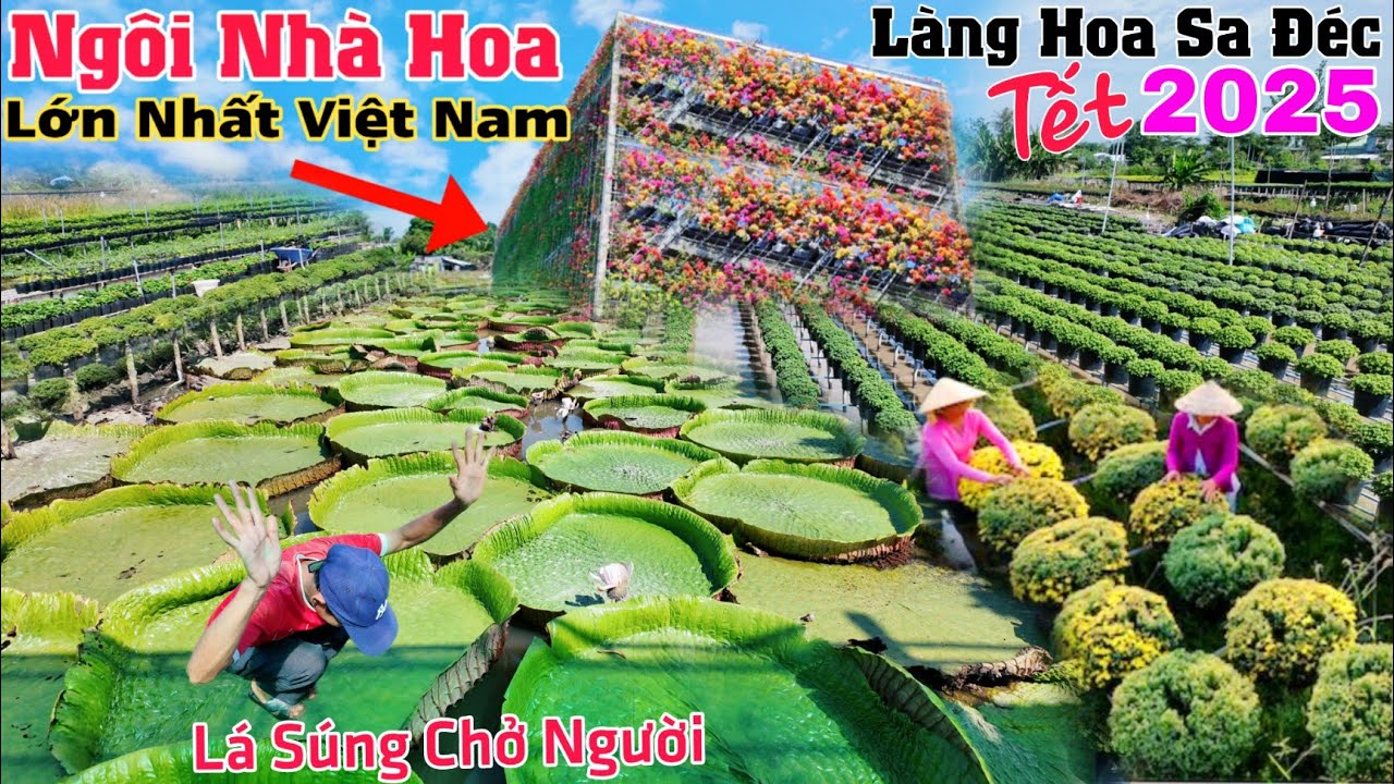 Làng hoa Sa Đéc 2025 Lá súng chở người Ngôi Nhà Hoa lớn nhất Việt Nam