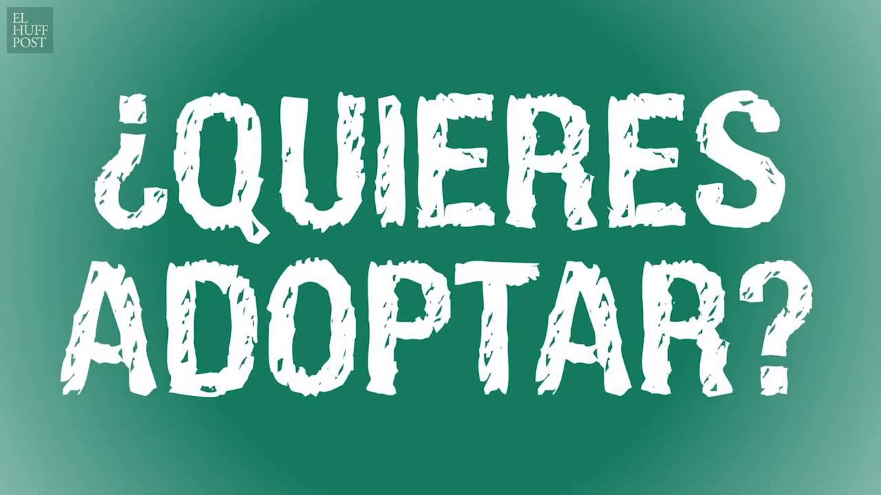 ¿Cómo es el proceso de adopción en España?
