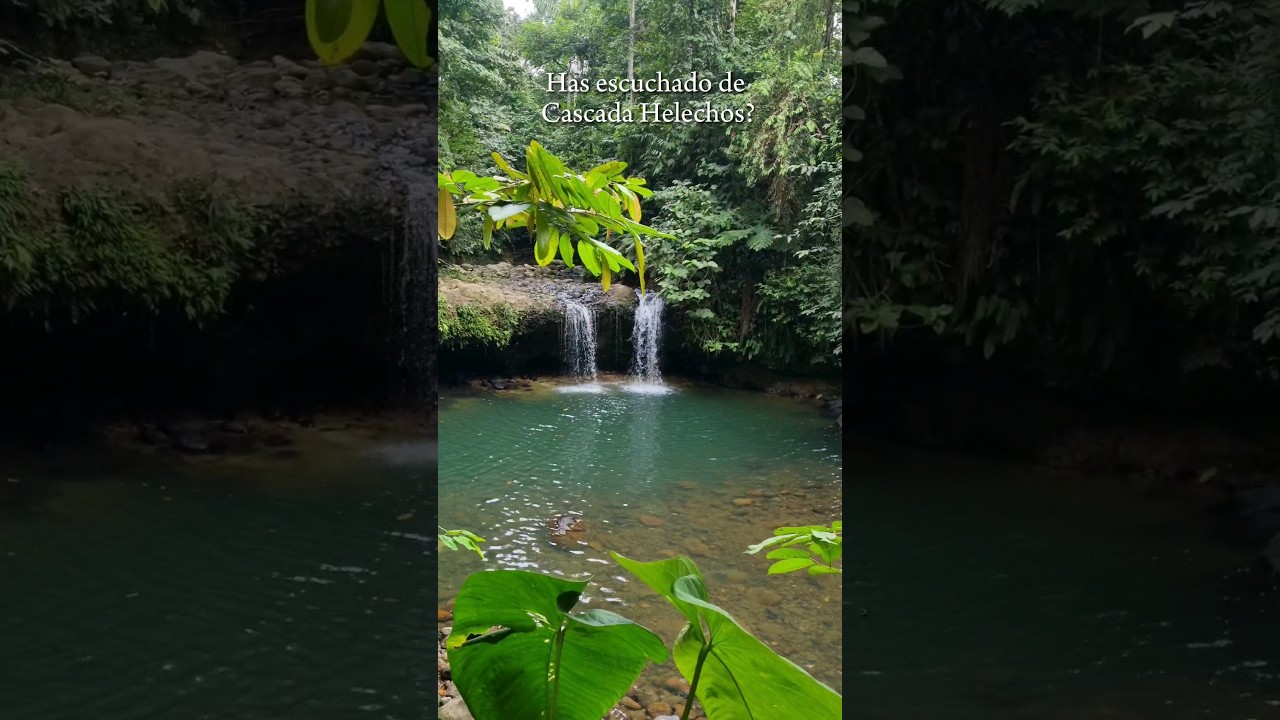Cascadas sl noroccidente de Pichincha #postalecu #ecuador #viajes
