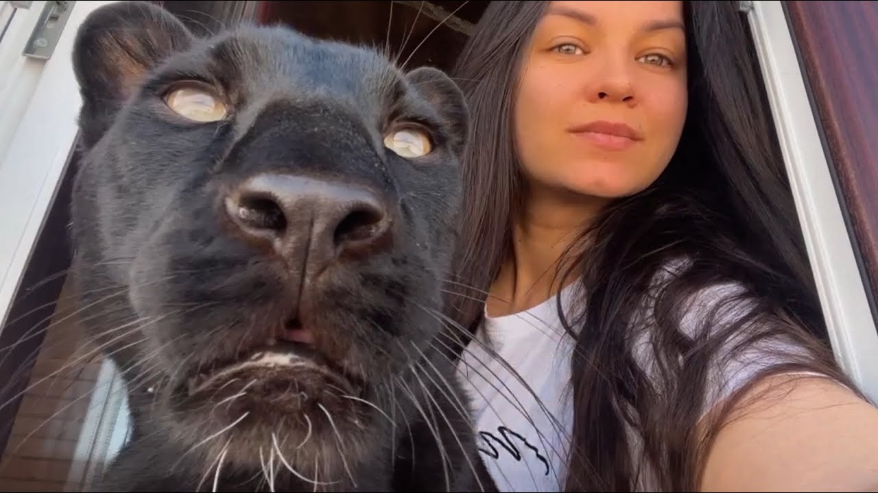 Воскресенье с зоосемьей 😂🐾❤️