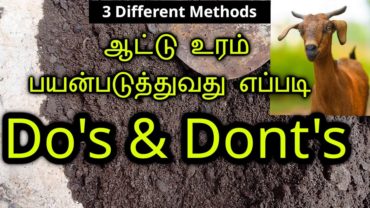 3 Methods || ஆட்டு உரம் முறையாக பயன்படுத்துவது எப்படி|  How to use Goat manure for plants in Tamil
