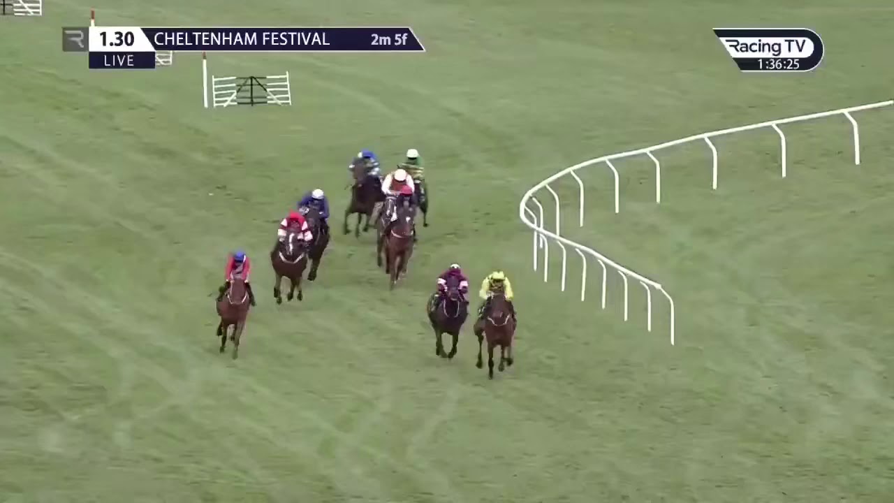 Cheltenham Festival 2020 Day 2 - All Finishes