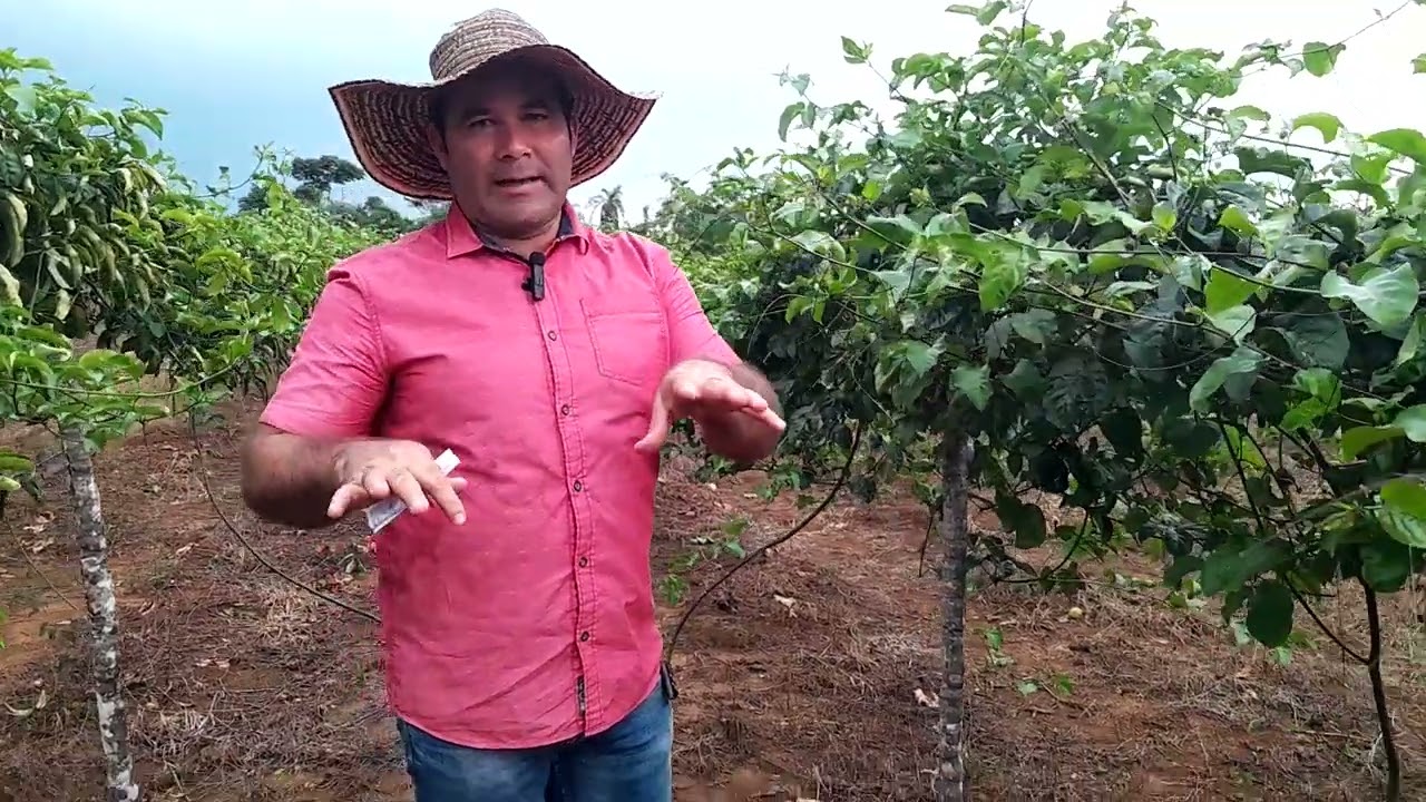 ¿Cual es el calibŕe y tipo de alambre mas recomendado para el cultivo de maracuyá?