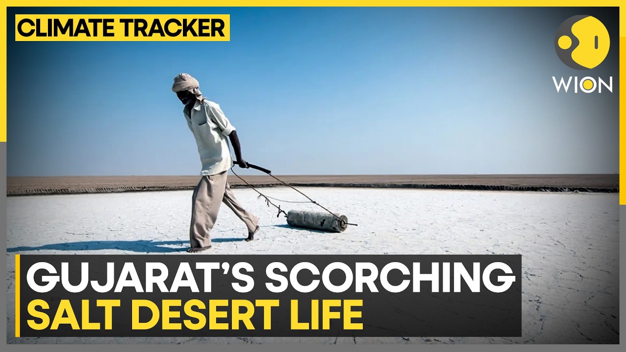 Gujarat Heatwave: India&rsquo;s Salt Workers Battle Extreme Heat | WION Climate Tracker