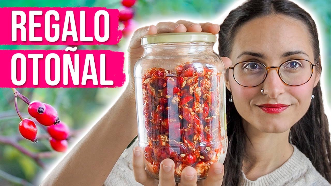 Beneficios del ESCARAMUJO 🌹 ¡¡Bomba de VITAMINAS!!