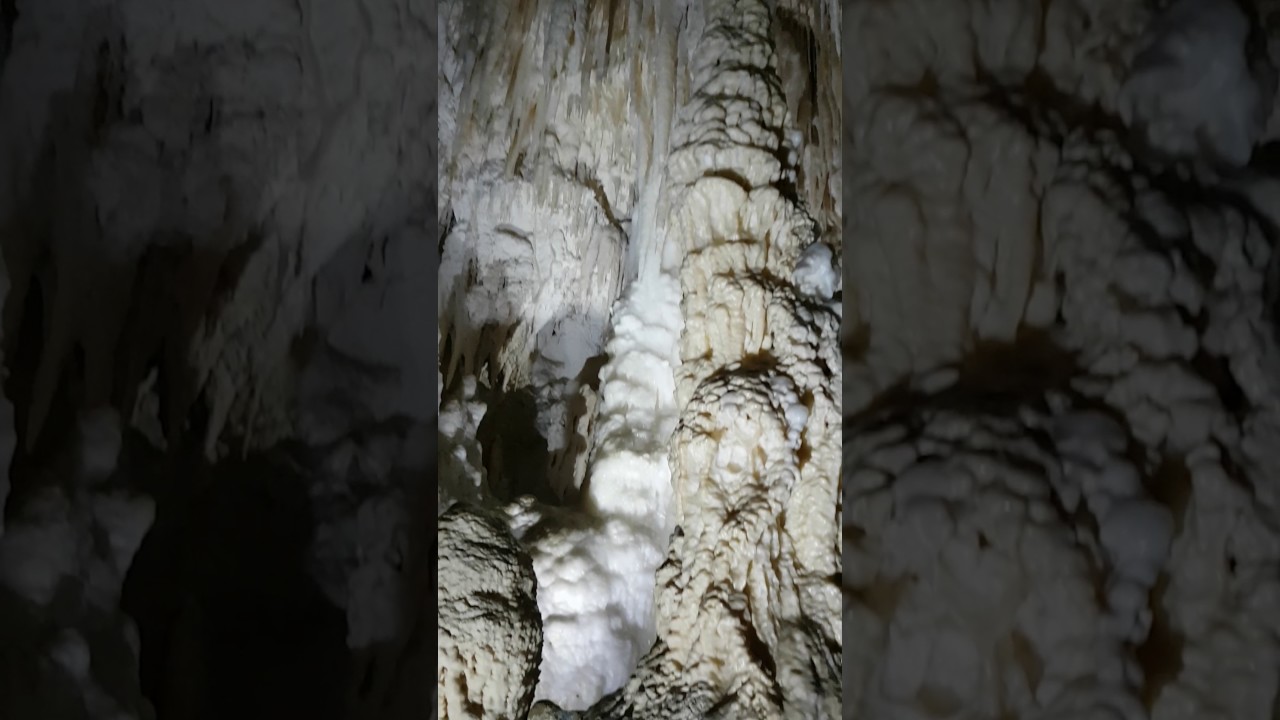 New Zealand North Island Aranui Caves Waitomo
