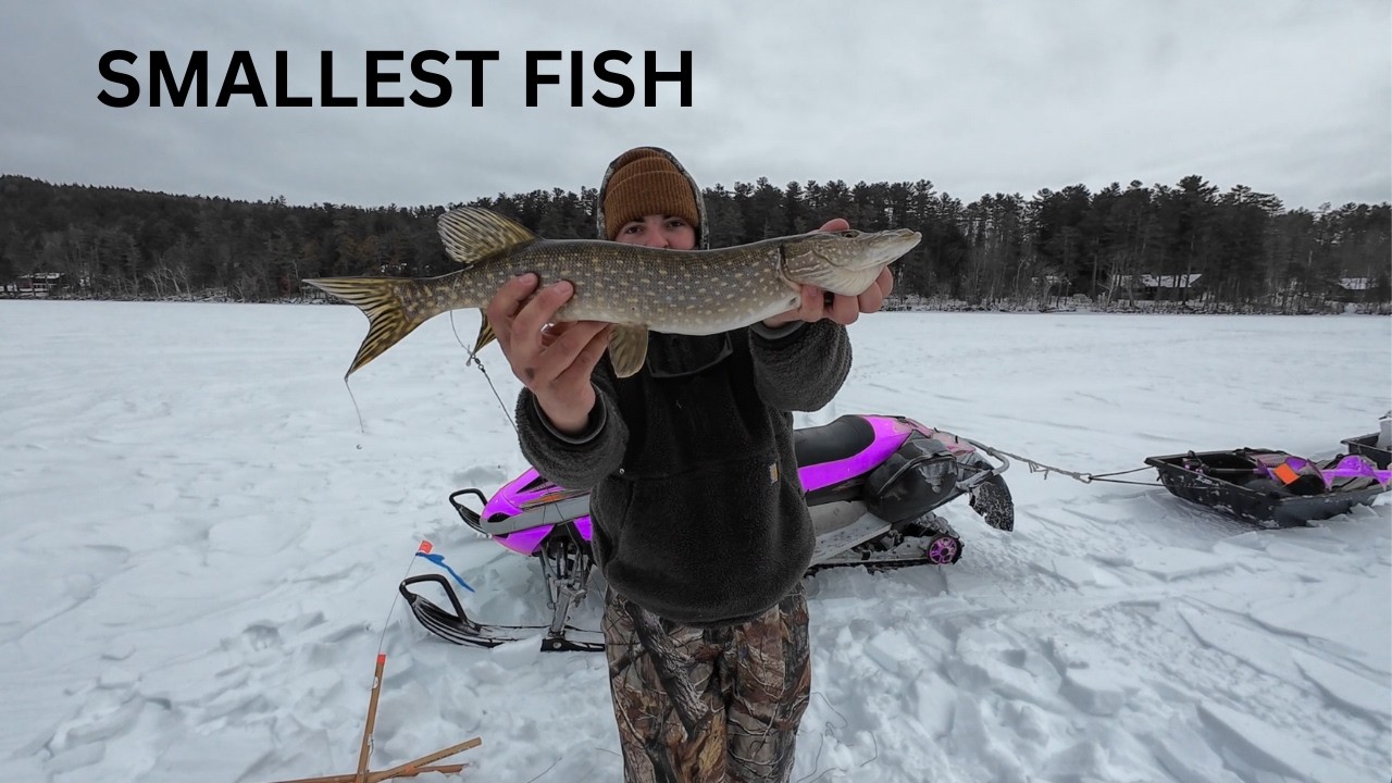 WE FISHED THE BIGGEST PIKE TOURNAMENT IN MAINE!!!