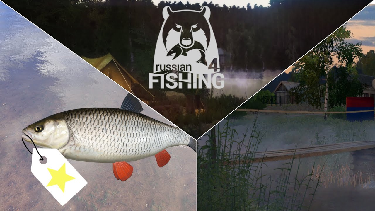 Trophyjagd D&ouml;bel - Ehrenfischer Windenbach | Russian Fishing 4