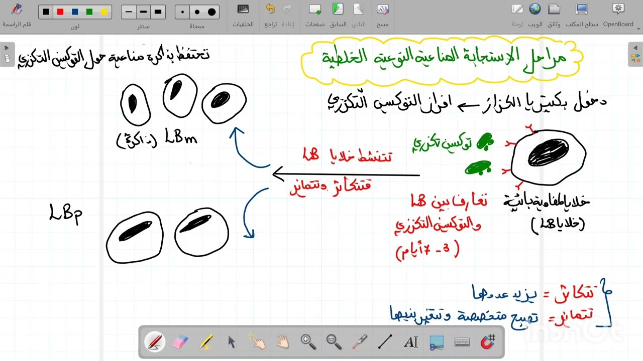 الاستجابة المناعية النوعية الخلطية (الجزء الثاني) رابعة متوسط 