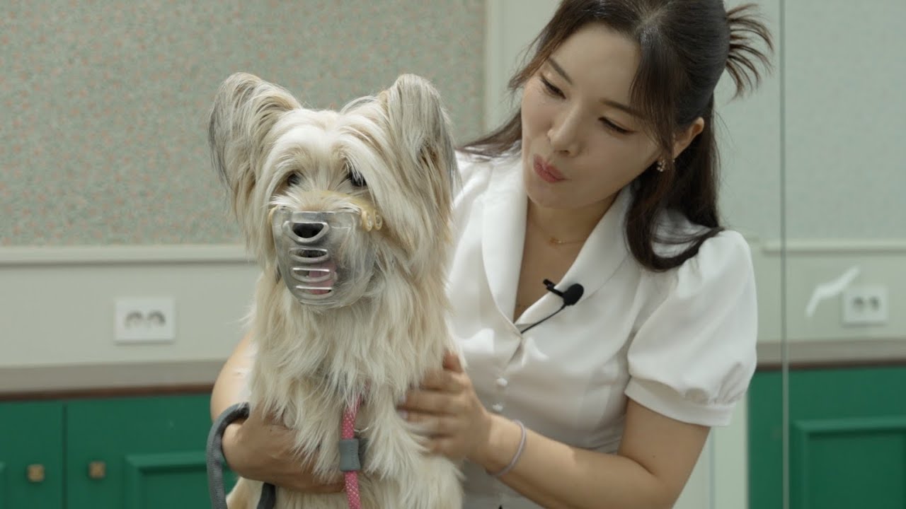 [재능기부] 입마개쓴 아이는 처음입니다만 .. | [Talent donation] I've never seen a kid with a muzzle on..