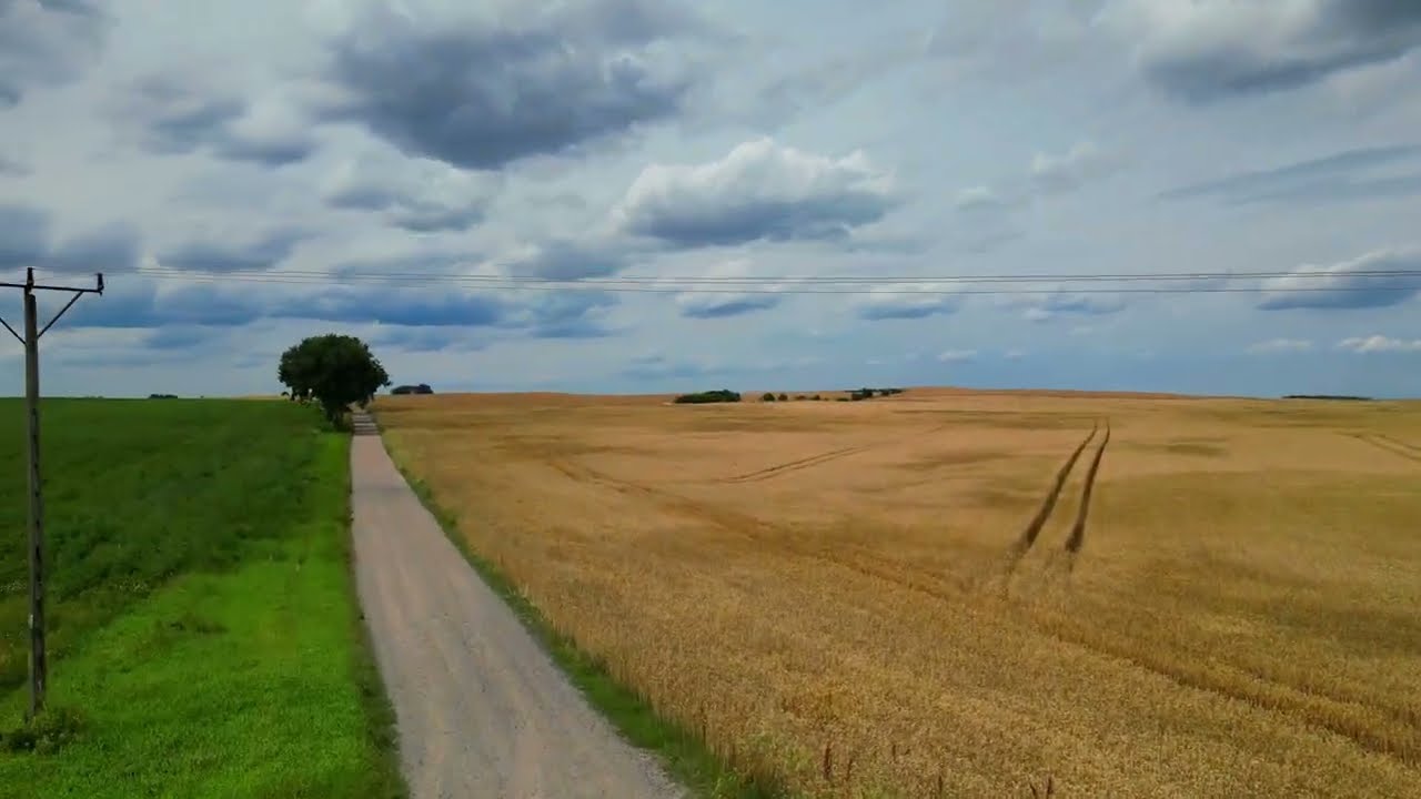 2023-07-21 Lubikowo, okolica Muchocina i Zatom Stary