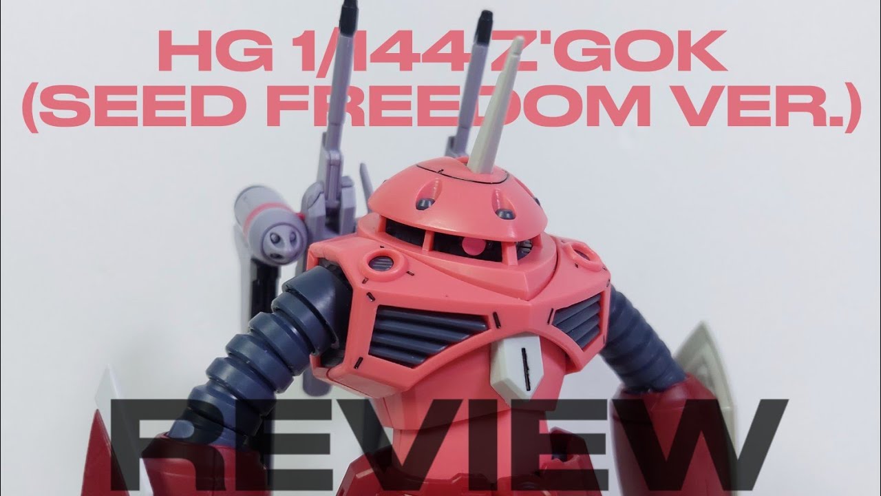 HG 1/144 Z'Gok Seed Freedom ver. | GaoGao