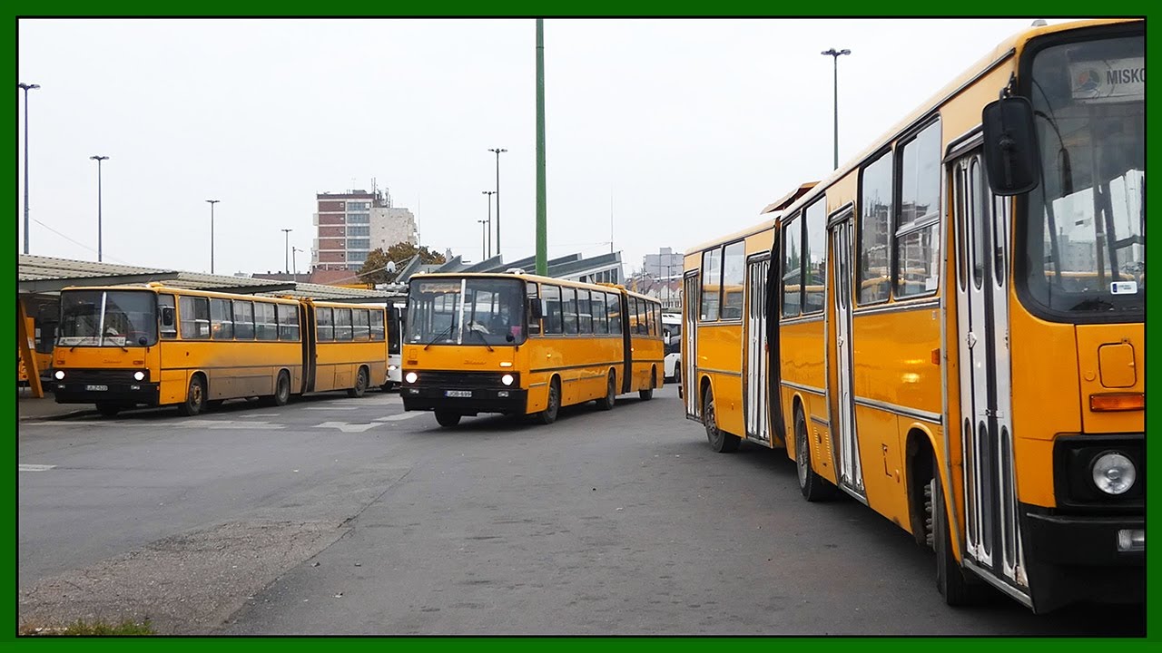 Ikarus buszok Miskolcon - 2020 November (1. rész)