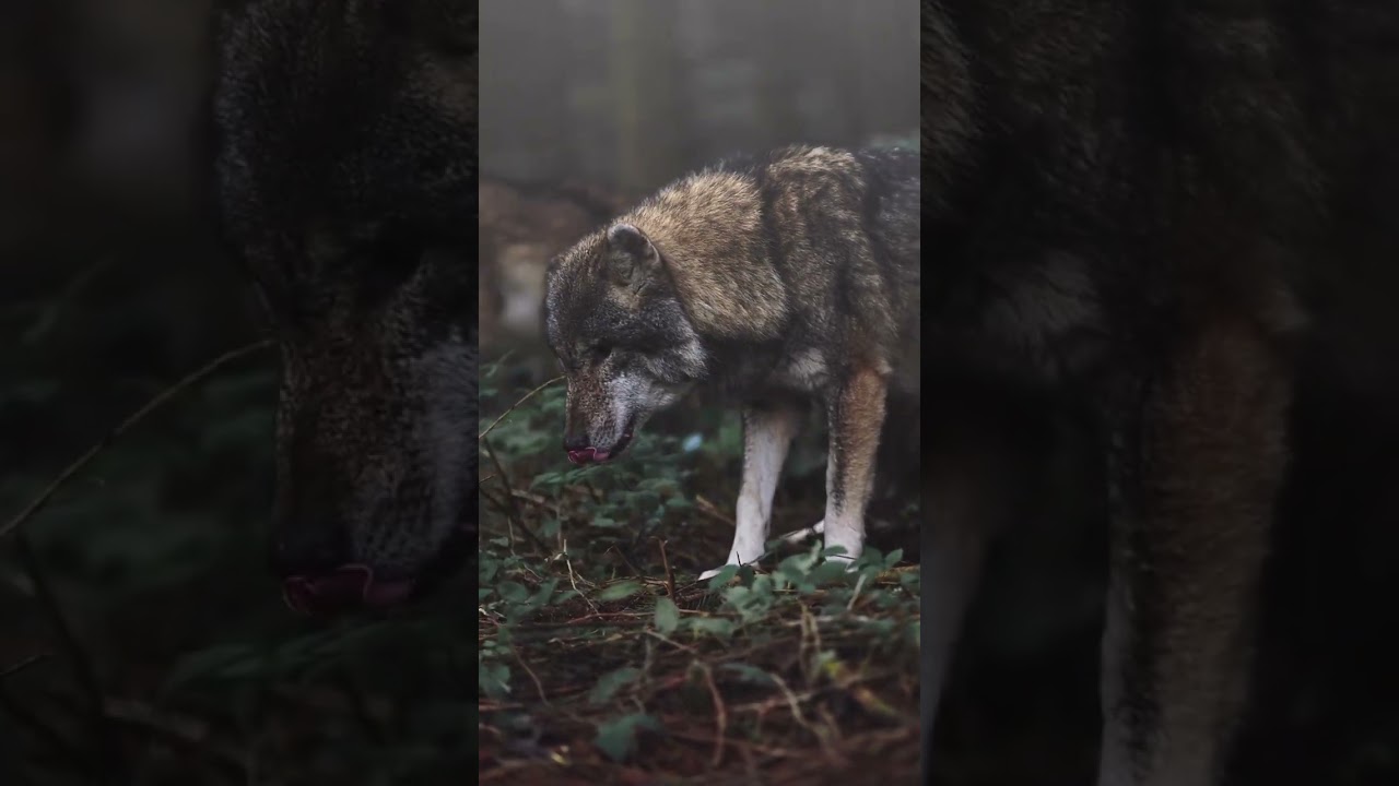 Fear-Inducing Experiences: Are You Brave Enough?