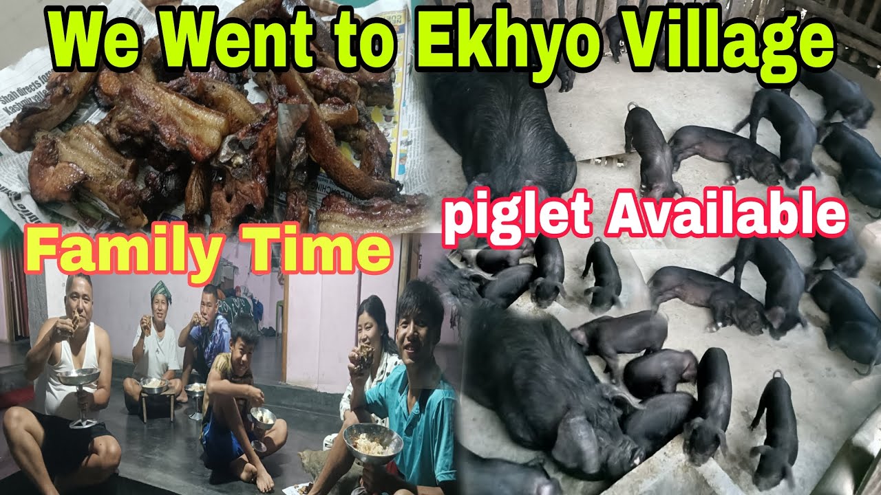 We went to Ekhyo Village #family time 🤗 Piglet Available for sale contact number:7085802764 