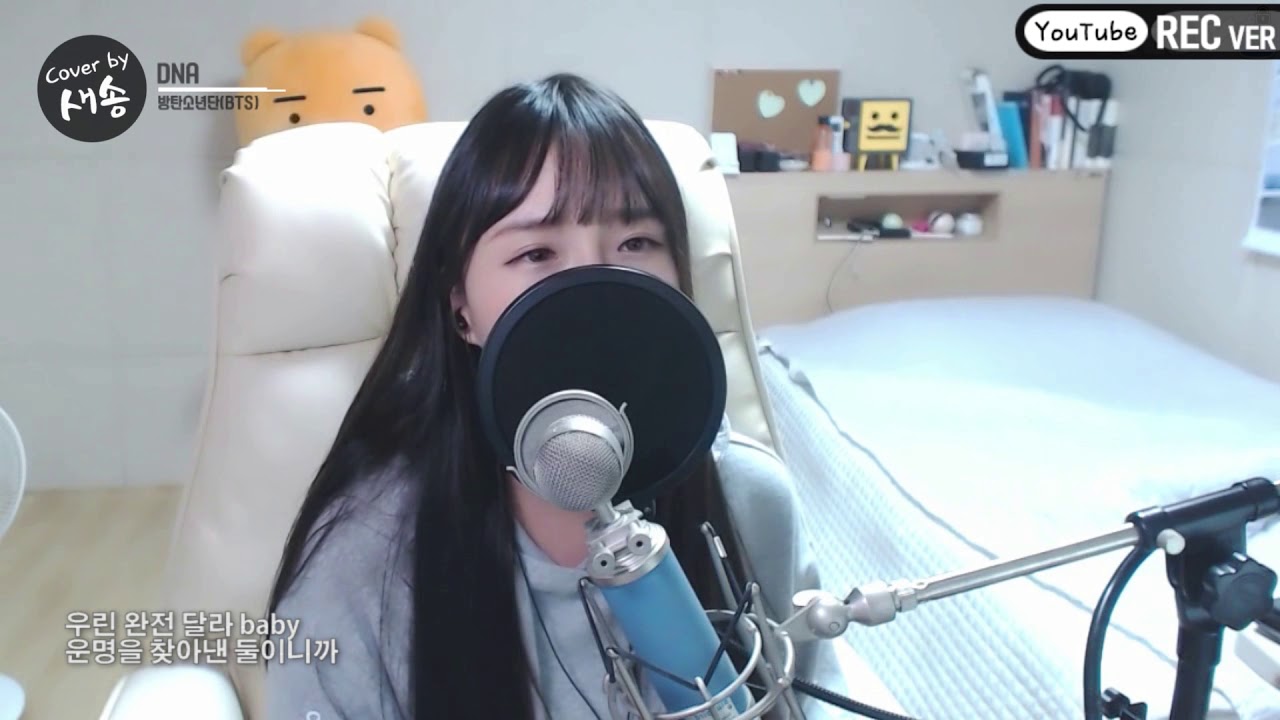BTS(방탄소년단) - 'DNA' COVER by 새송