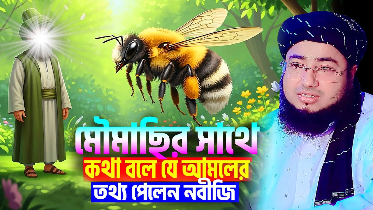 মৌমাছির সাথে কথা বলে যে আমলের তথ্য পেলেন নবীজি । mufti jahirul islam faridi । জহিরুল ইসলাম ফরিদী