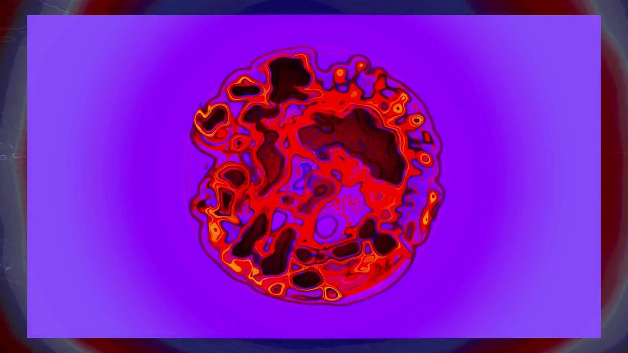 Chillarium of the Dodecapus - 24/7 trip in motion sound and picture