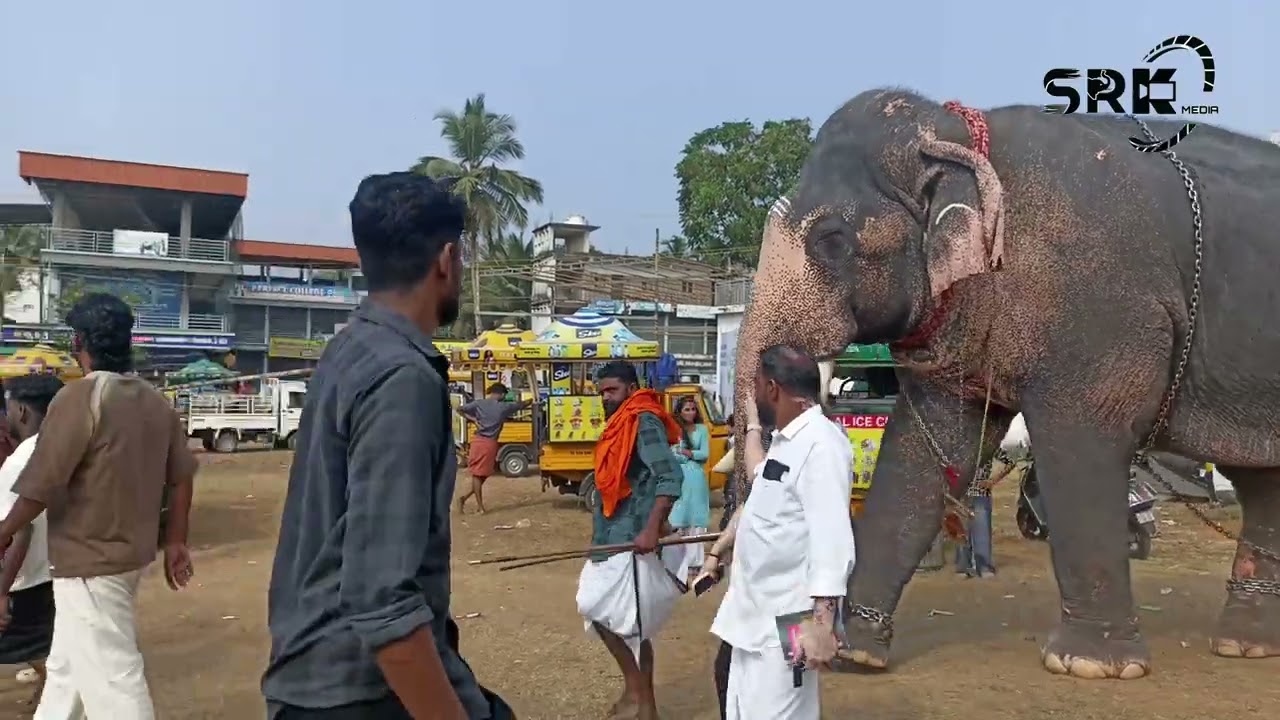 കേശവനും മനോജേട്ടനും അനീഷേട്ടനും അതൊരു കോമ്പോ ആണ് 🫶🏻💪🏻🤩❤️